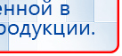 СКЭНАР-1-НТ (исполнение 01)  купить в Альметьевске, Аппараты Скэнар купить в Альметьевске, Скэнар официальный сайт - denasvertebra.ru